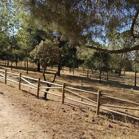 La Casa De Los Abuelos Holiday home *